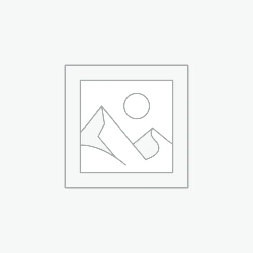 Logistics and Transport Management